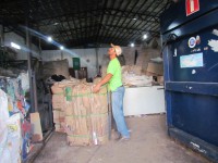 /album/beehive-consultoria-ambiental/img-4654-jpg/